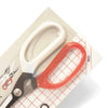 Steel Blade Scissors