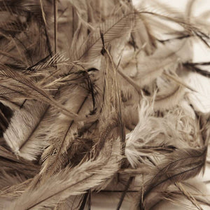 Emu Feather