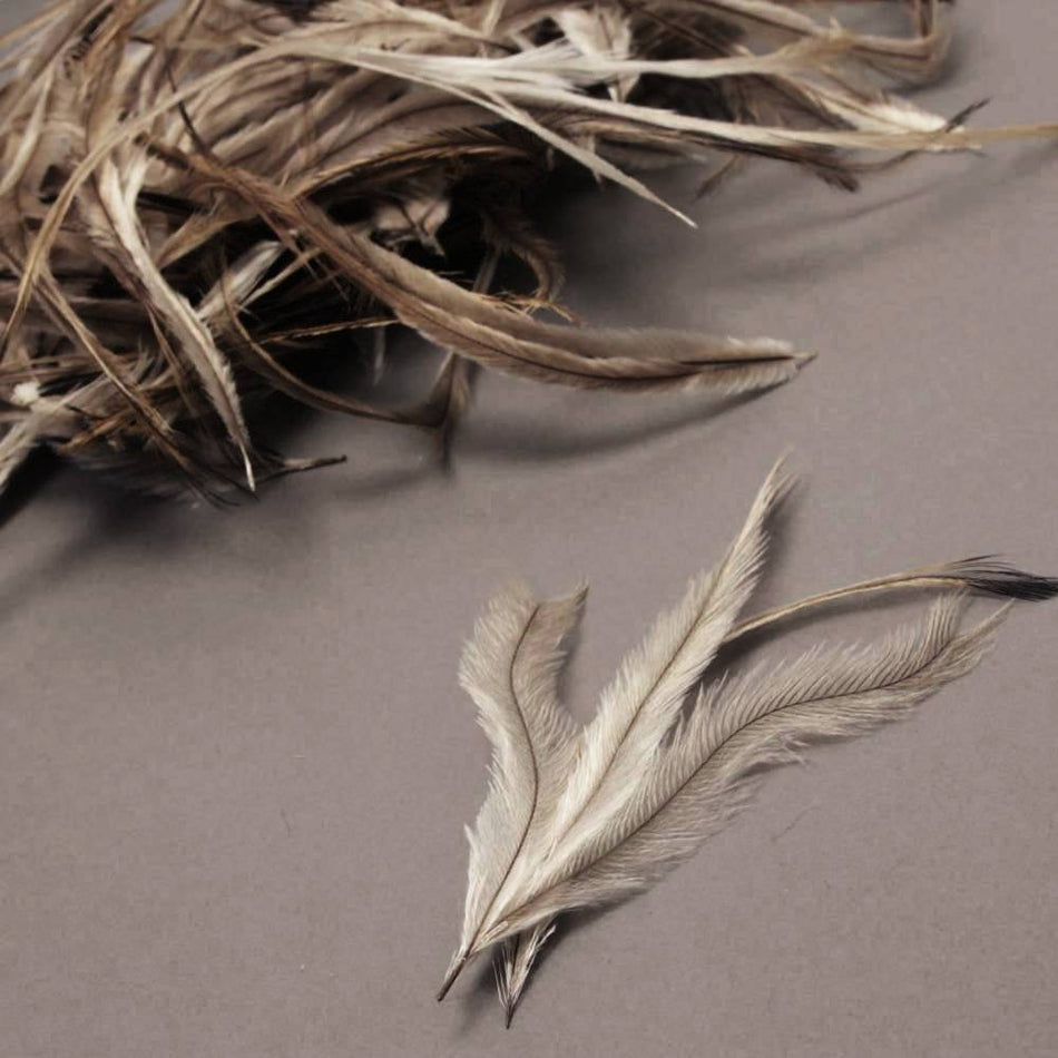 Emu Feather