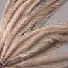 Emu Feather
