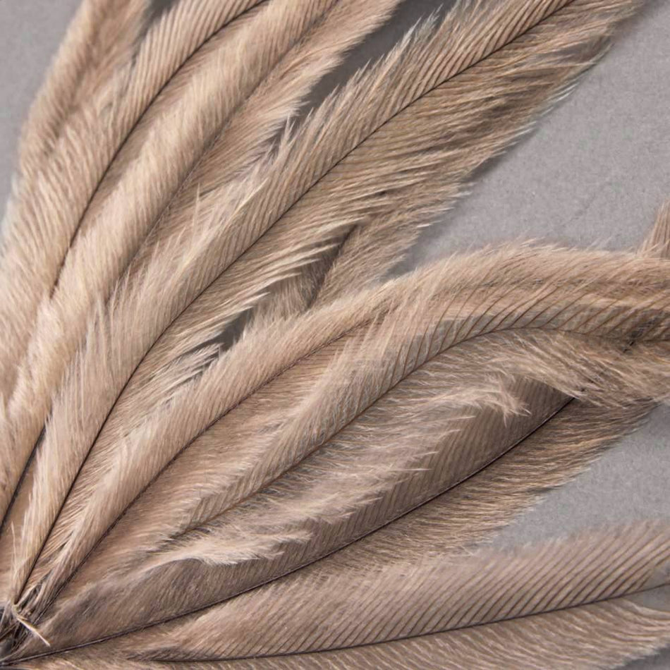Emu Feather