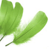 Goose Nagoire Feather (24 Pack)