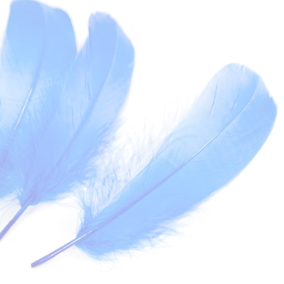Goose Nagoire Feather (24 Pack)