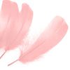 Goose Nagoire Feather (24 Pack)