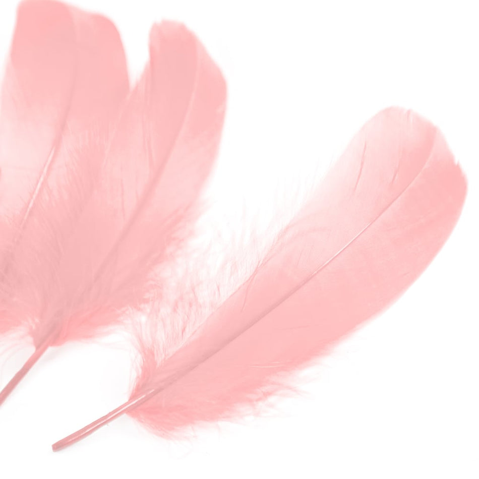 Goose Nagoire Feather (24 Pack)
