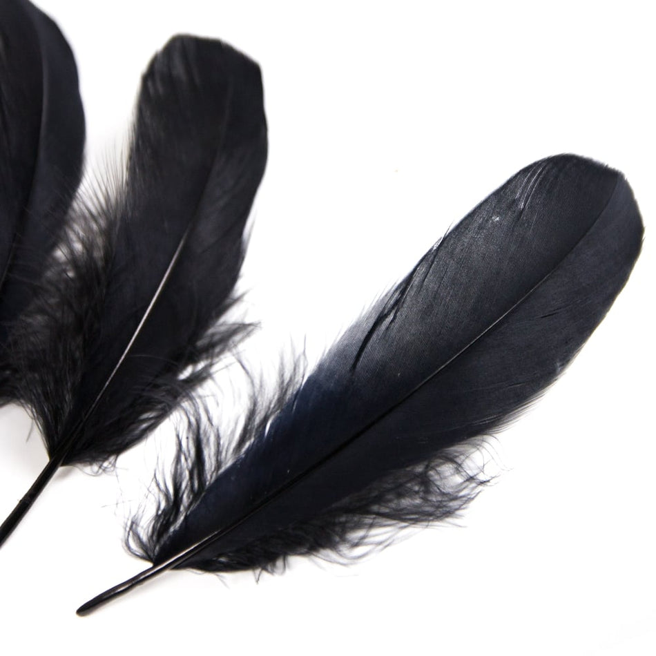 Goose Nagoire Feather (24 Pack)