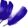 Goose Nagoire Feather (24 Pack)