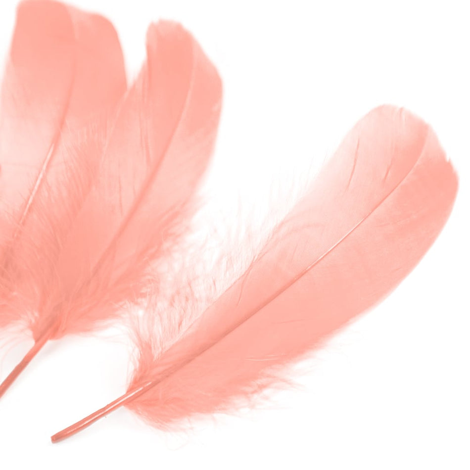 Goose Nagoire Feather (24 Pack)
