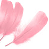 Goose Nagoire Feather (24 Pack)