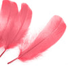 Goose Nagoire Feather (24 Pack)