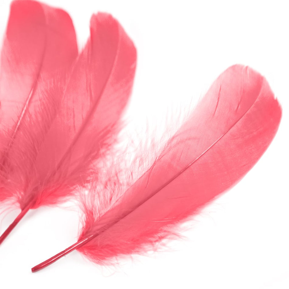 Goose Nagoire Feather (24 Pack)