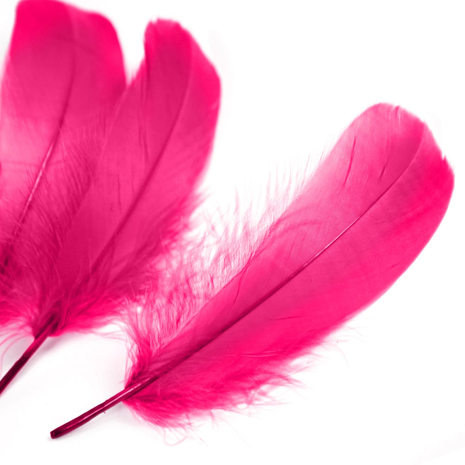 Goose Nagoire Feather (24 Pack)