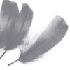 Goose Nagoire Feather (24 Pack)