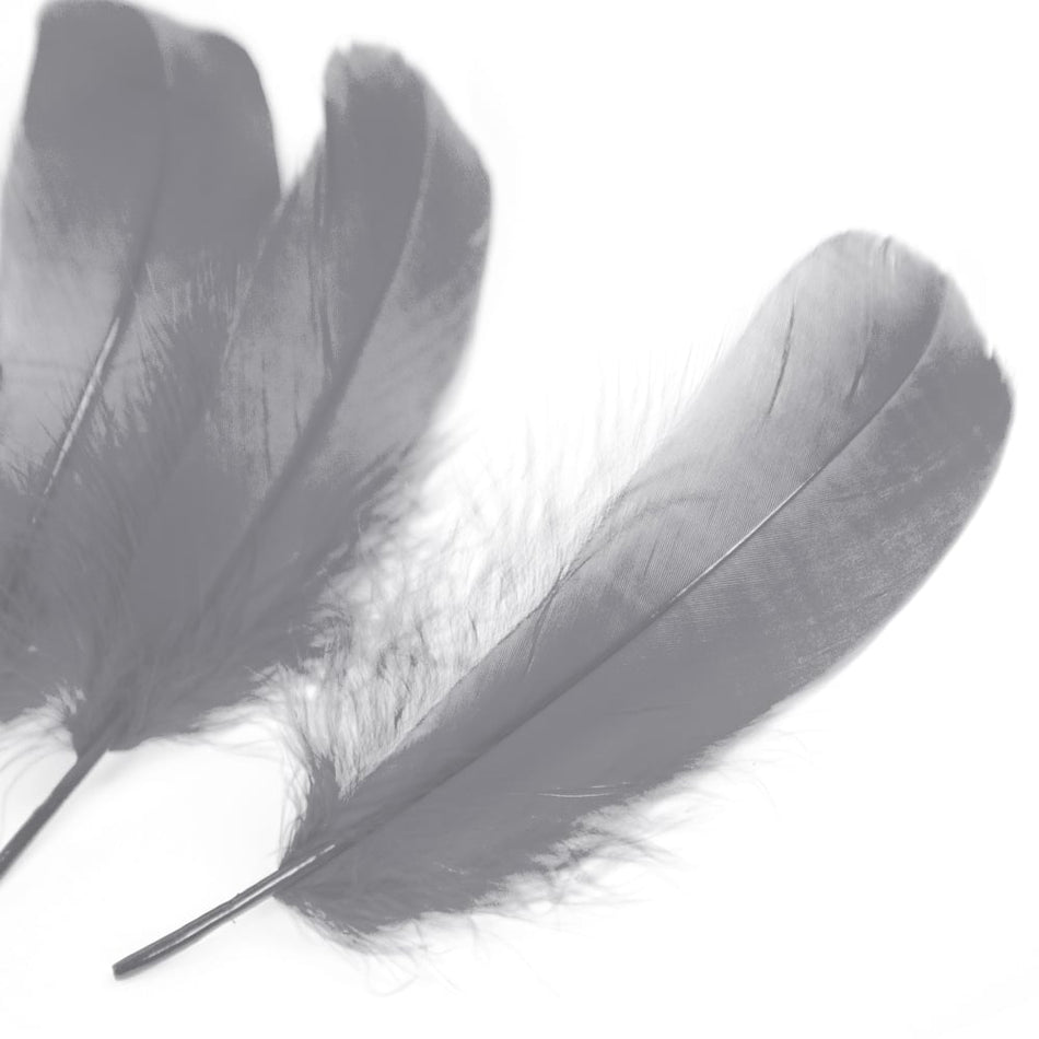 Goose Nagoire Feather (24 Pack)