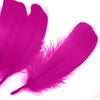 Goose Nagoire Feather (24 Pack)