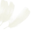 Goose Nagoire Feather (24 Pack)