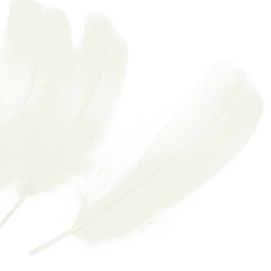Goose Nagoire Feather (24 Pack)