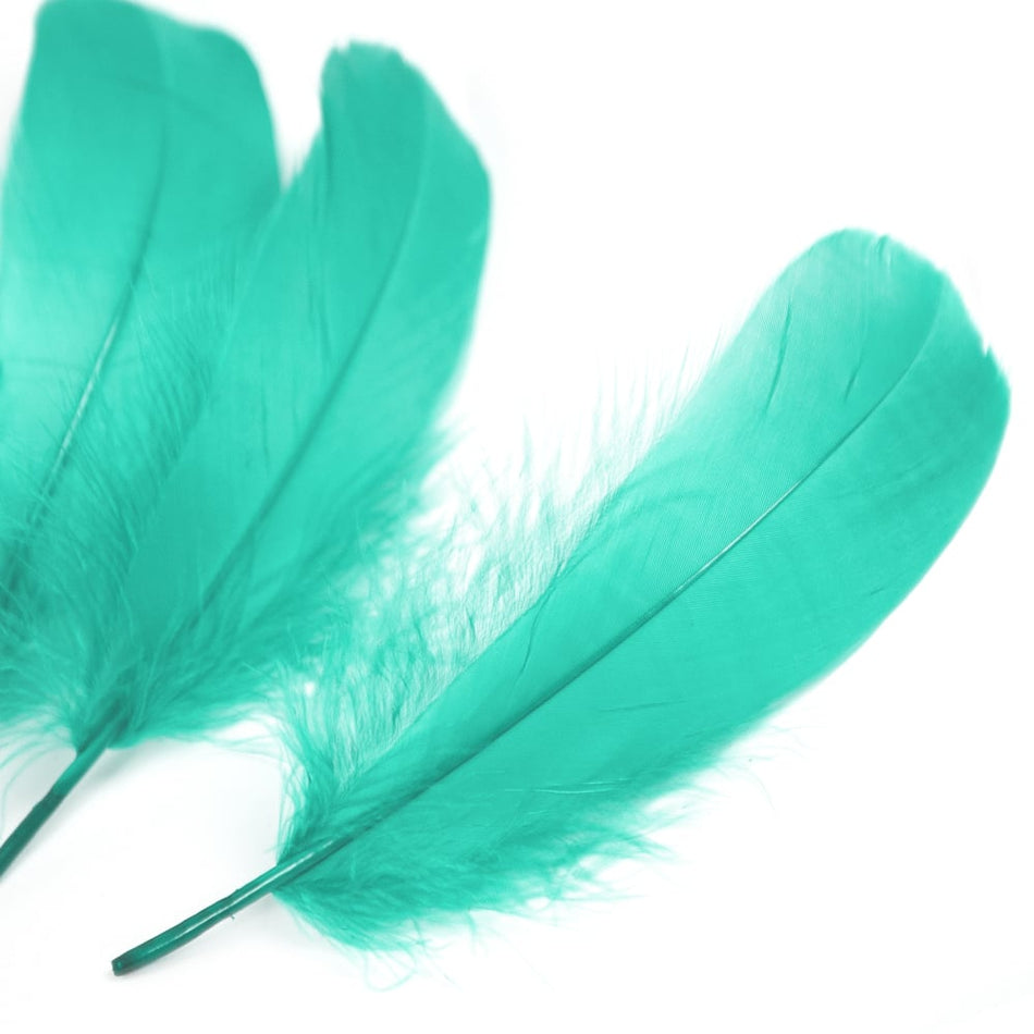 Goose Nagoire Feather (24 Pack)