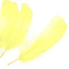 Goose Nagoire Feather (24 Pack)