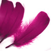 Goose Nagoire Feather (24 Pack)