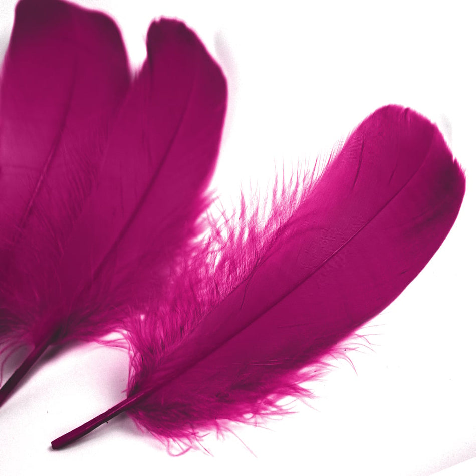 Goose Nagoire Feather (24 Pack)