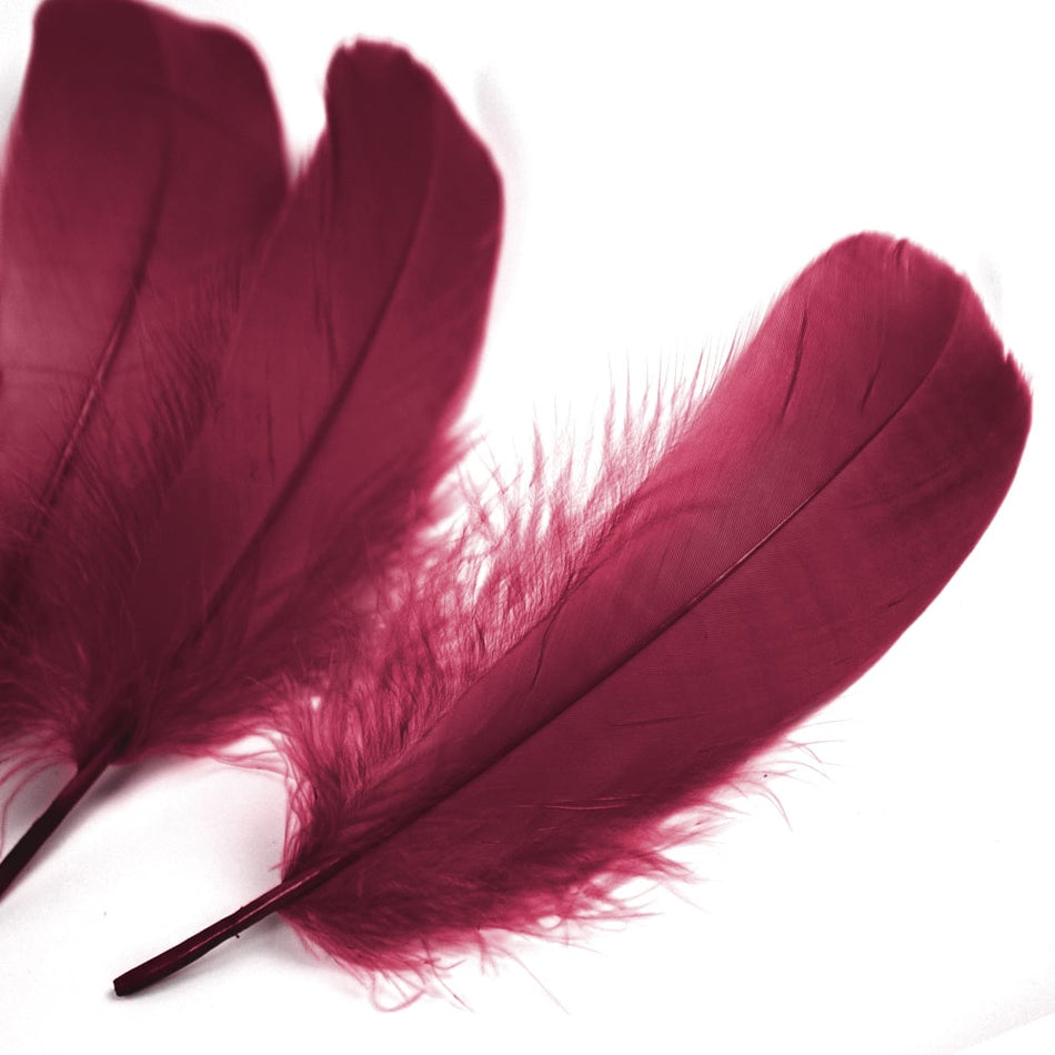 Goose Nagoire Feather (24 Pack)