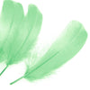 Goose Nagoire Feather (24 Pack)