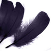 Goose Nagoire Feather (24 Pack)