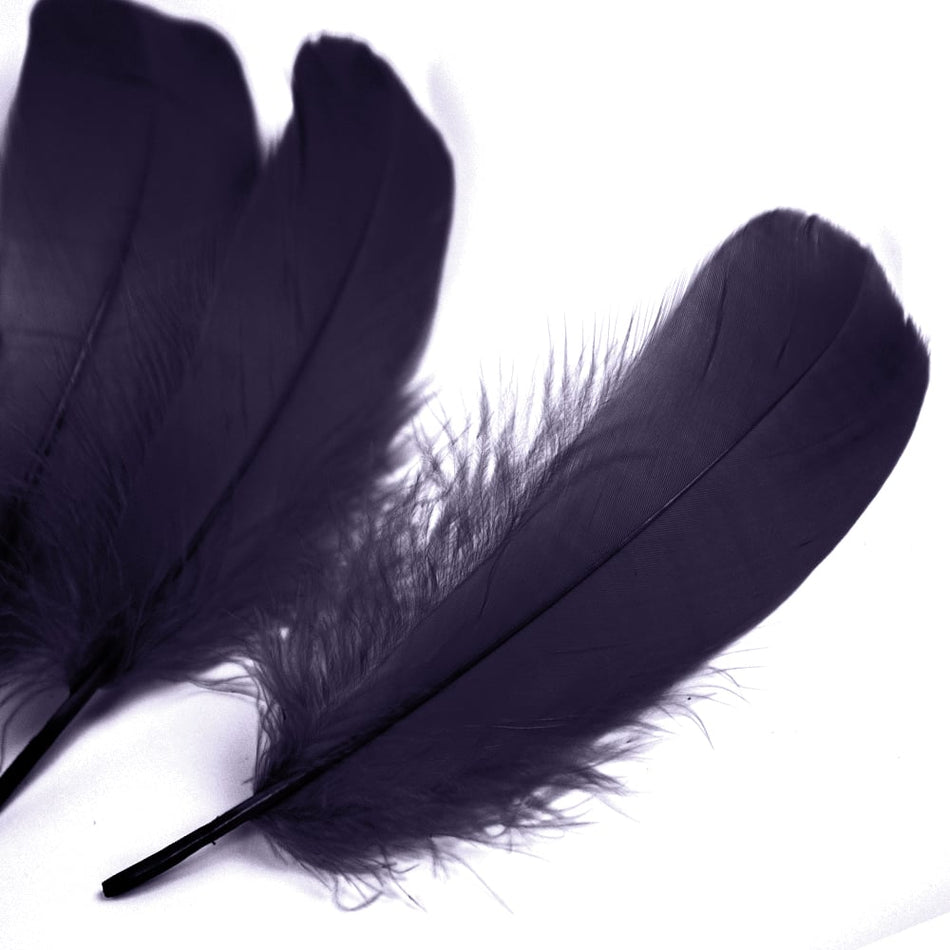 Goose Nagoire Feather (24 Pack)