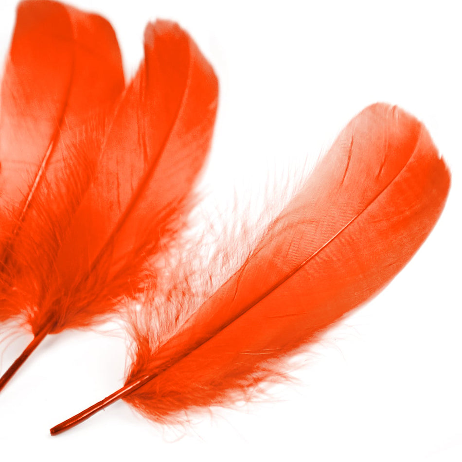 Goose Nagoire Feather (24 Pack)