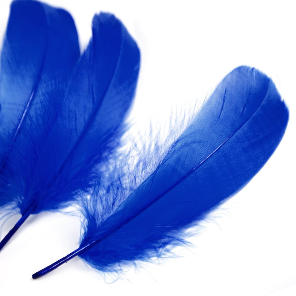 Goose Nagoire Feather (24 Pack)