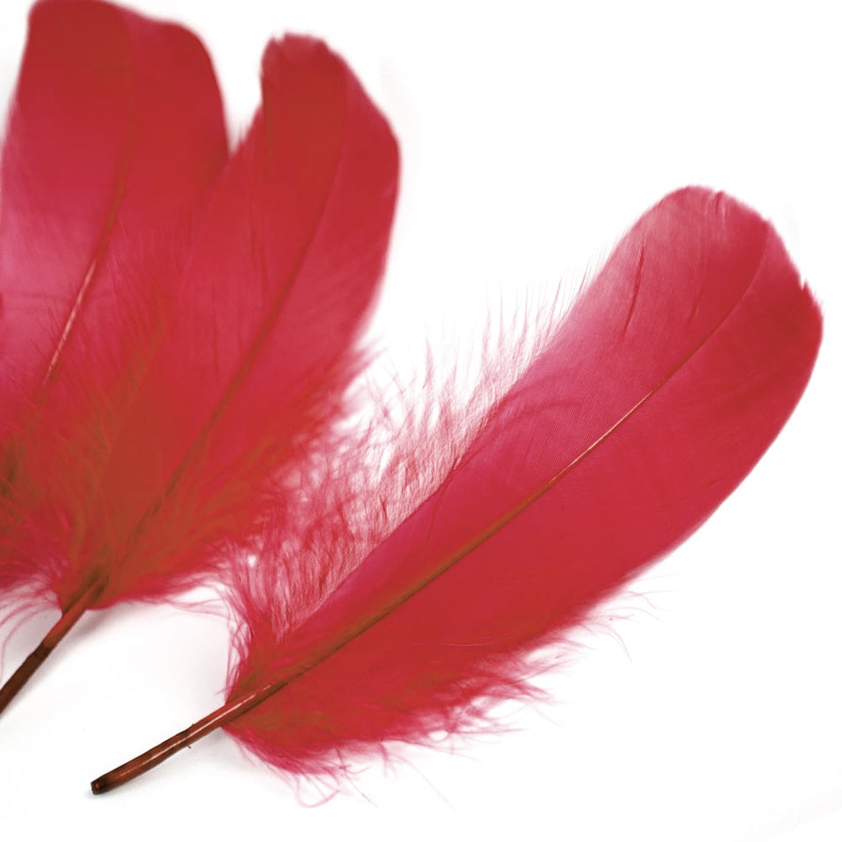 Goose Nagoire Feather (24 Pack)