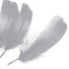 Goose Nagoire Feather (24 Pack)