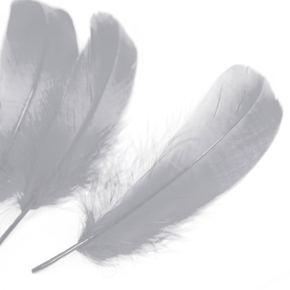 Goose Nagoire Feather (24 Pack)