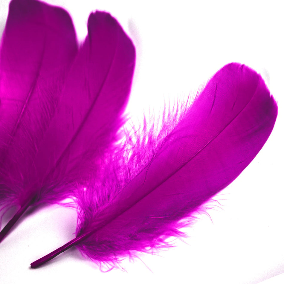 Goose Nagoire Feather (24 Pack)