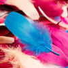 Goose Nagoire Feather (24 Pack)