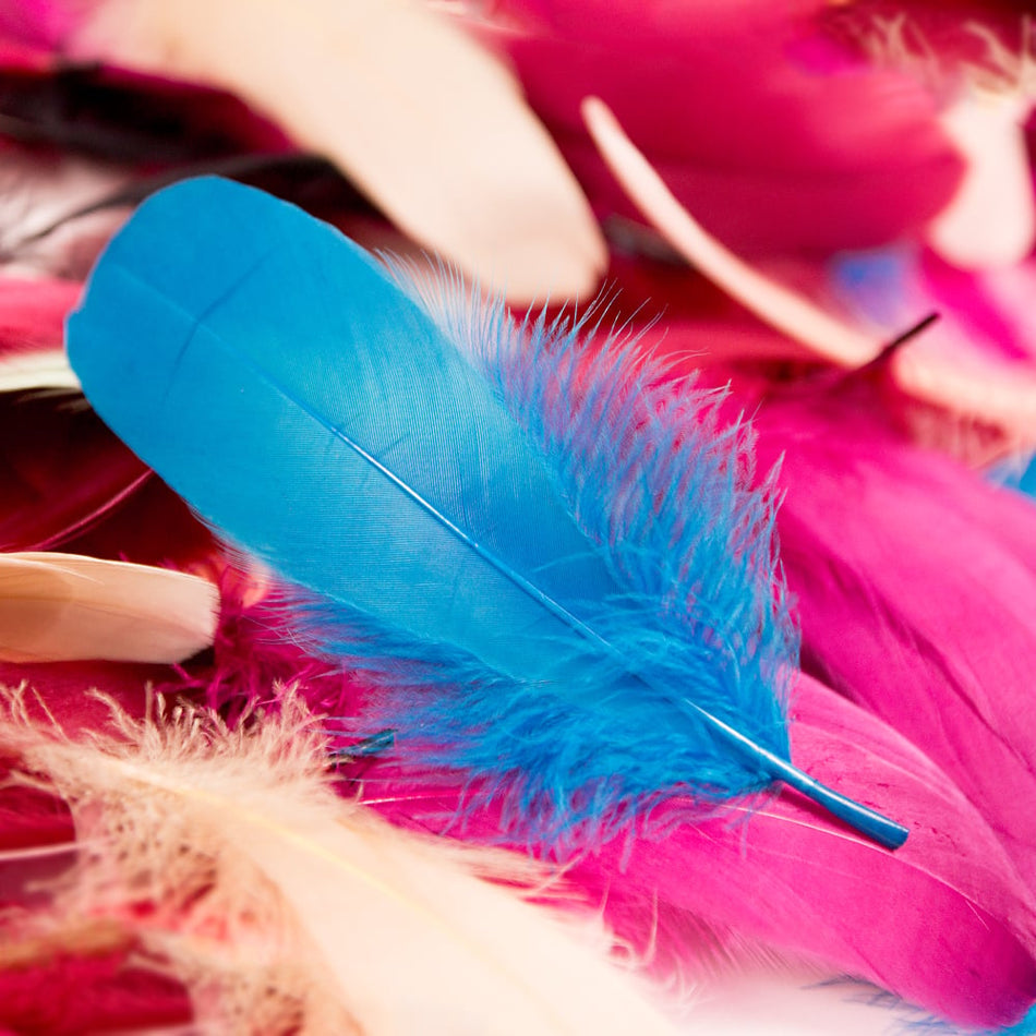 Goose Nagoire Feather (24 Pack)