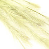 Faux Feather - Emu Tail Spray