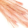 Faux Feather - Emu Tail Spray