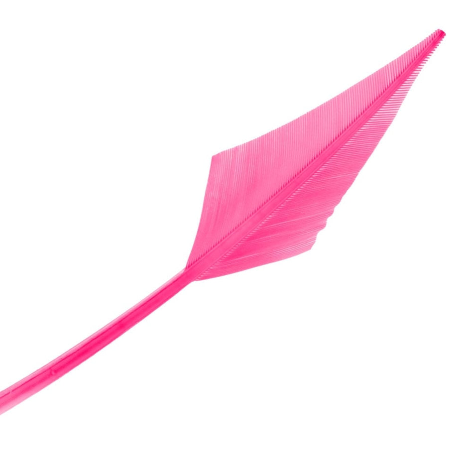 Turkey Feather Arrowhead