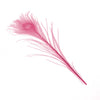 Peacock Eye Feather 20-30cm (3 Pack)