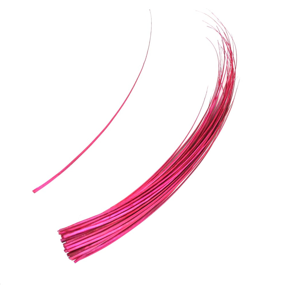 Ostrich Feather Quill Spine