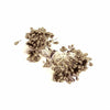 Flower Stamens Pearl