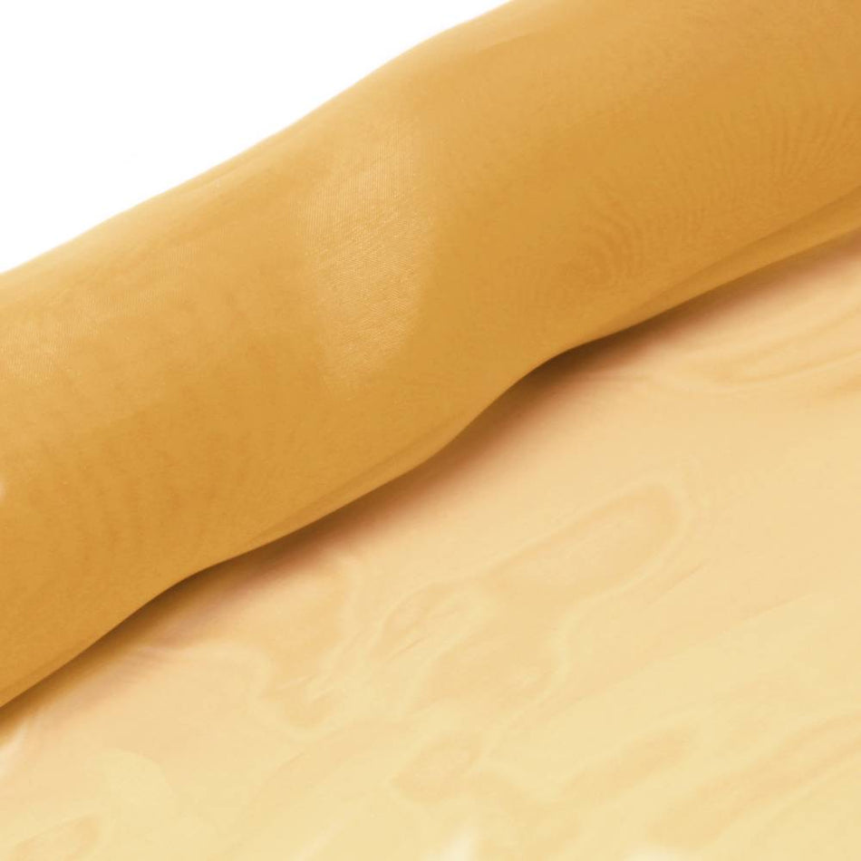 Glass Organza Fabric