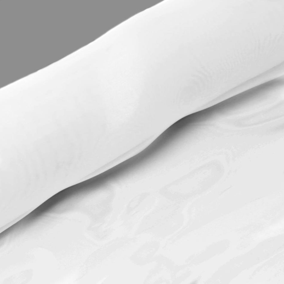 Glass Organza Fabric