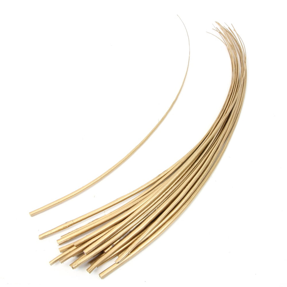 Ostrich Feather Quill Spine