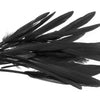 Goose Feather - Small Pointed