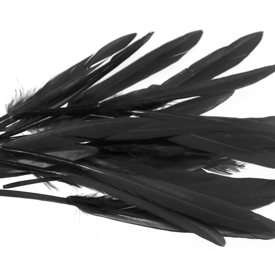 Goose Feather - Small Pointed