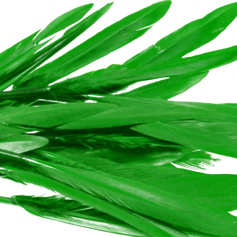 Goose Feather - Small Pointed