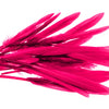 Goose Feather - Small Pointed